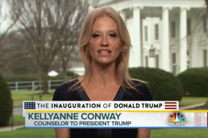 Lock Her Up! Special counsel report: White House aide Kellyanne Conway violated law in TV interviews (reuters.com)
