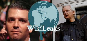 Russiagate Update: Someone leaked all over Don Jr and Wikileaks!