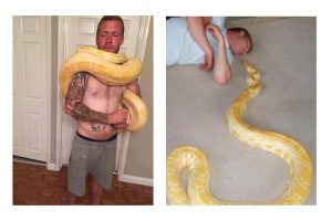 Giant Pet Snake Named ‘Tiny’ Strangles Owner In His Own Home (newsweek.com)