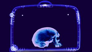 American man questioned after human head found in suitcase (asahi.com)