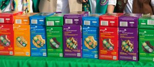 Girl Scouts Cookie Sales ‘Promote Promiscuous Sex and Abortion’ Says Kim Davis’ Lawyer (newsweek.com)