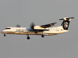 Man Steals Passenger Plane, Does Stunts Before Crashing On Island Near Seattle (newsweek.com)