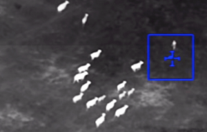 Watch This! 📺 Cows Trap Woman Fleeing Cops After Stolen Car Crash (newsweek.com)