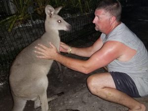 Storm the kangaroo found safe in Florida after being missing for two days (nydailynews.com)